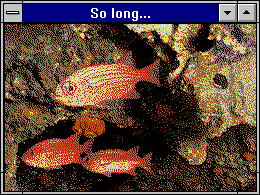 gif of fish floating around in a text box